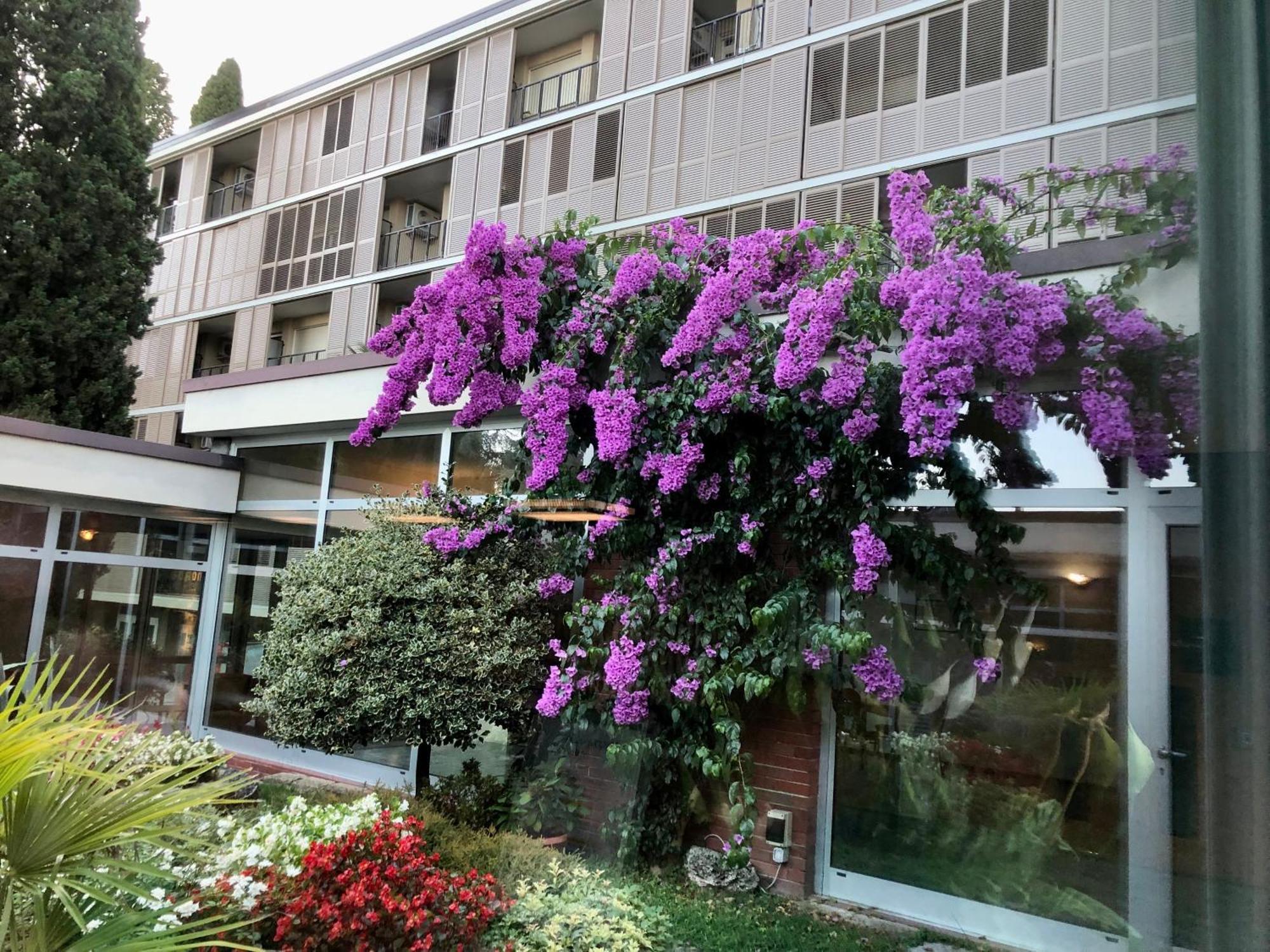 Residence Villa Alba ガルドーネ・リヴィエラ エクステリア 写真